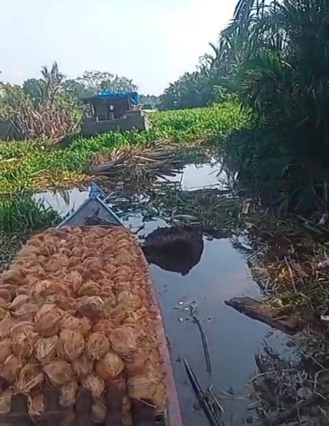 Pendangkalan Sungai Anak Serka: Warga Minta Pemerintah Turun Tangan