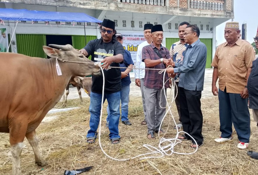Agrinas Bersama Pemda Inhu Sembelih 2 Sapi Kurban Bersama JMSI