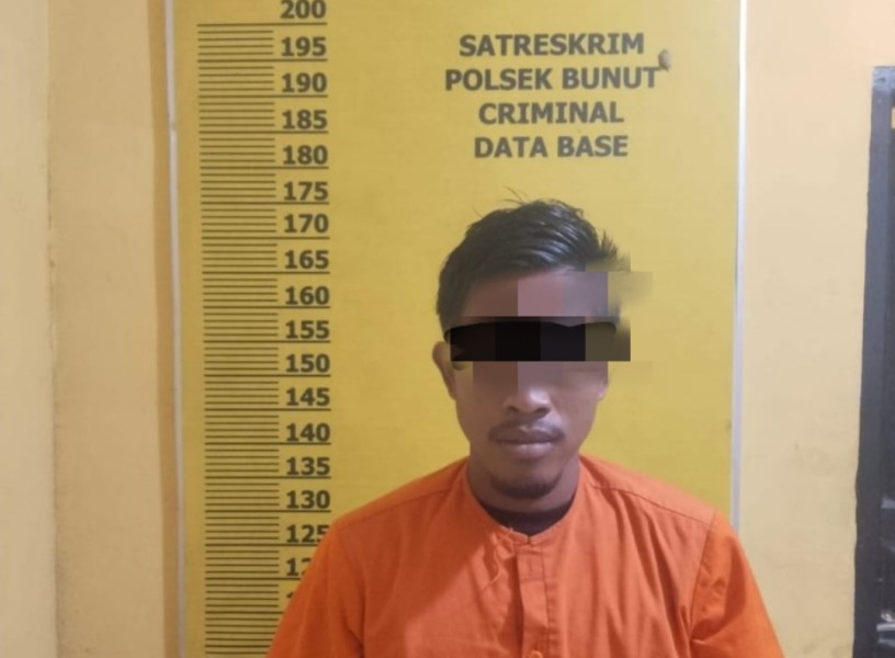 Diduga Cabuli Anak di Bawah Umur, Pria di Bandar Petalangan Ditangkap Polisi