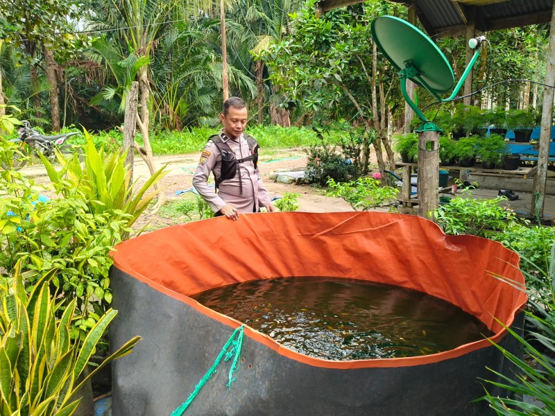 Dari Ladang ke Kolam: Bhabinkamtibmas Teluk Sungka Kawal Budidaya Ikan Warga Sungai Iliran