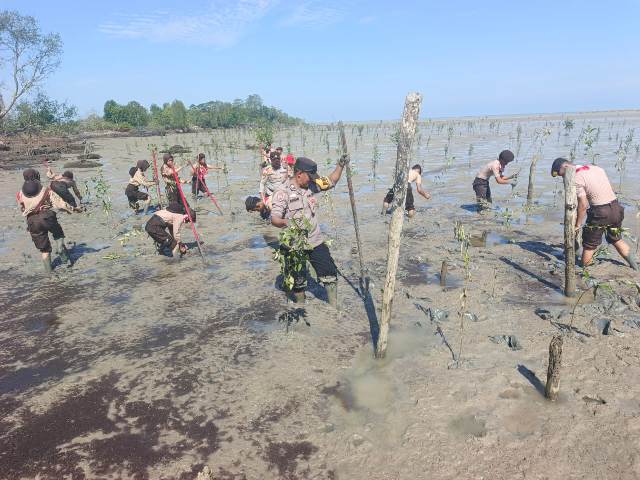 Green Policing di Rangsang Pesisir: Polres Meranti dan Pramuka Tanam Mangrove Cegah Abrasi