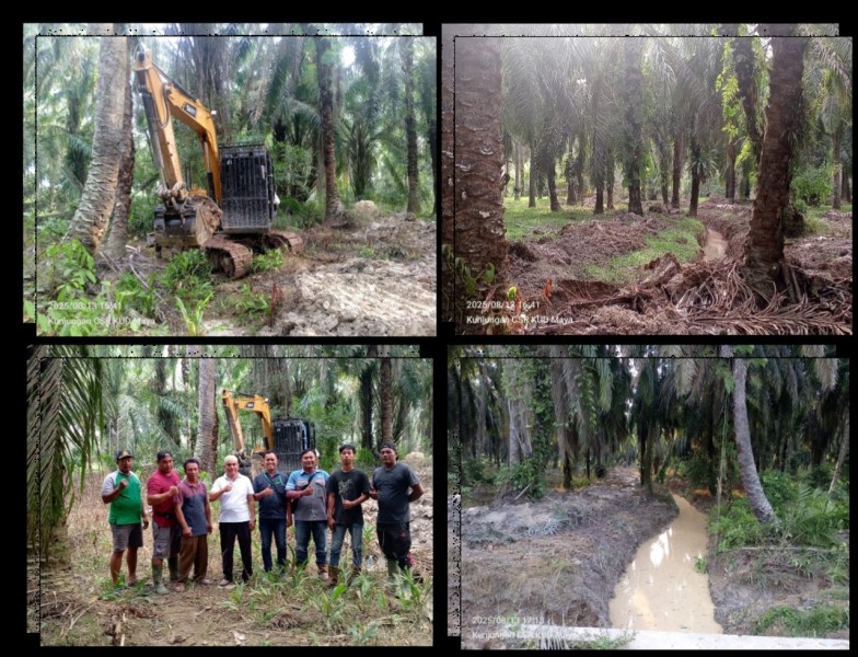 Bantu Petani, PT Sinergi Agroindustri Berikan Bantuan Alat Berat ke KUD Makmur Jaya