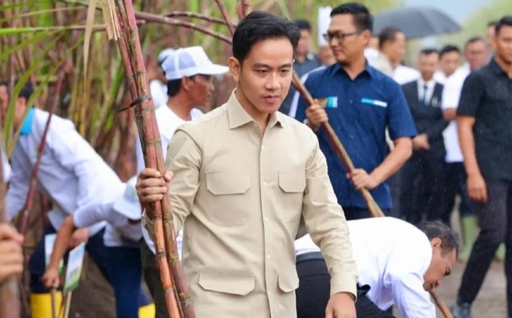 Gibran Diusulkan Tinggal di IKN, Politisi Golkar Nilai Belum Waktunya