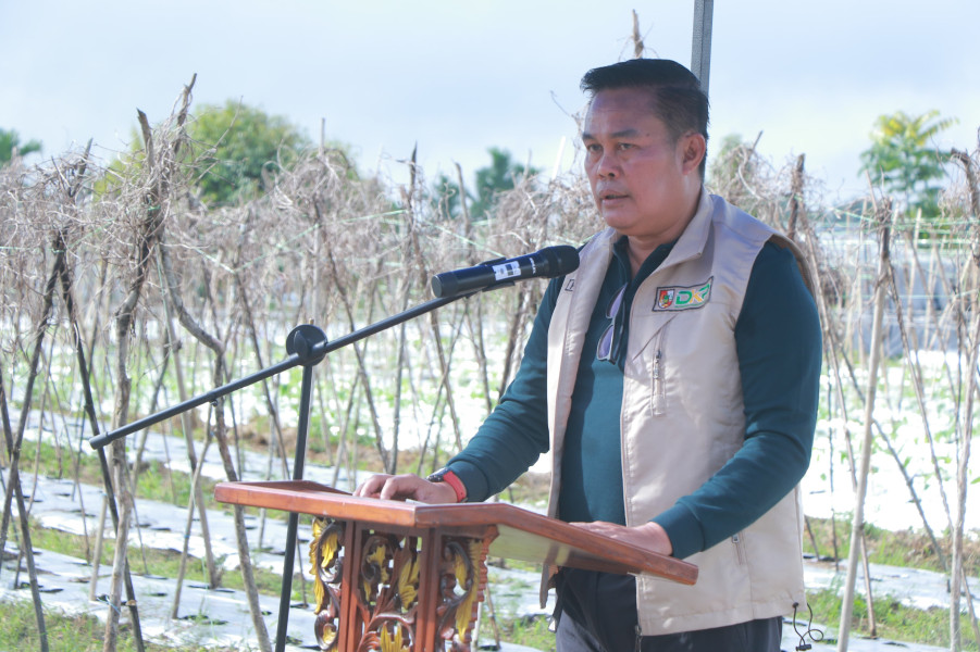 Disketapang Masifkan Program Kemandirian Pangan pada 2025