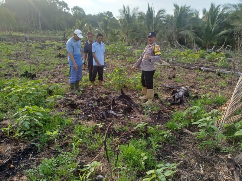 Bhabinkamtibmas Polsek Concong Gotong Royong Bersihkan Lahan Pra Tanam Jagung di Panglima Raja