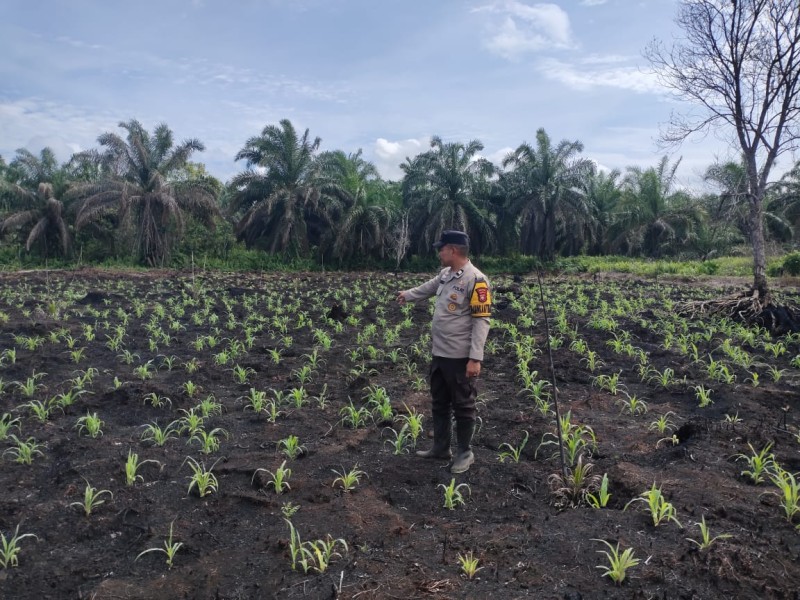 Polisi Cinta Petani: Aiptu Hendrick Yanto, Kami Hadir Bukan Hanya Jaga Keamanan, Tapi Juga Edukasi Petani