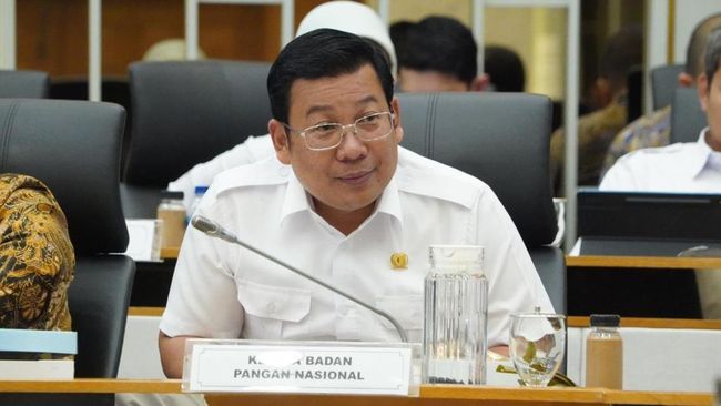 Harga Pangan Turun Selama Ramadan dan Idul Fitri 2025, BPS Catat Sebaliknya