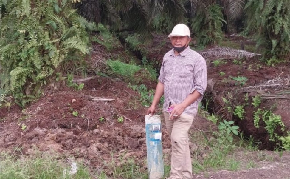 Kebun Sawit Baharudin di Tempuling Dirampas Perusahaan