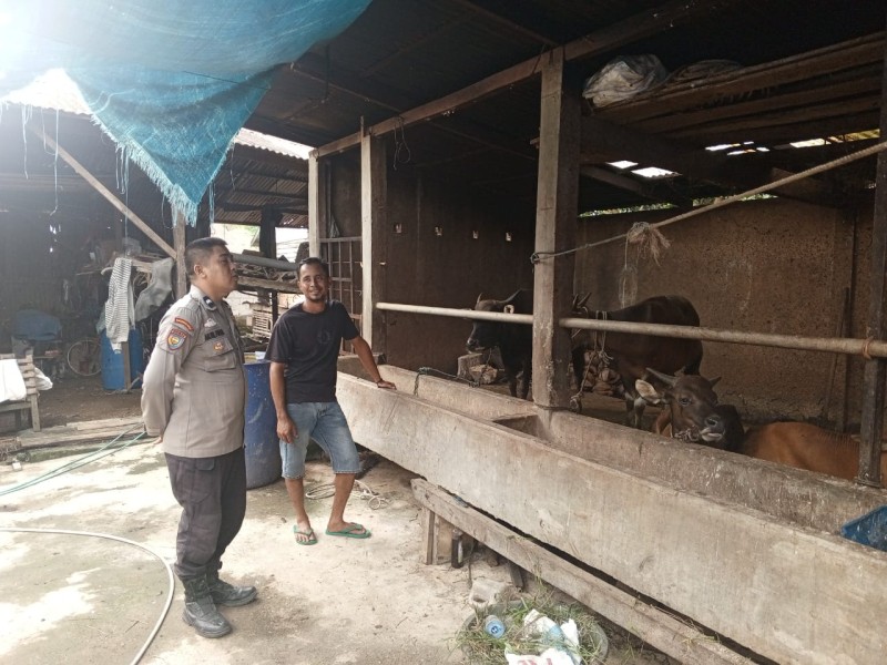 Bhabinkamtibmas Polsek Keritang Cek Peternakan Sapi di Desa Kotabaru Seberida