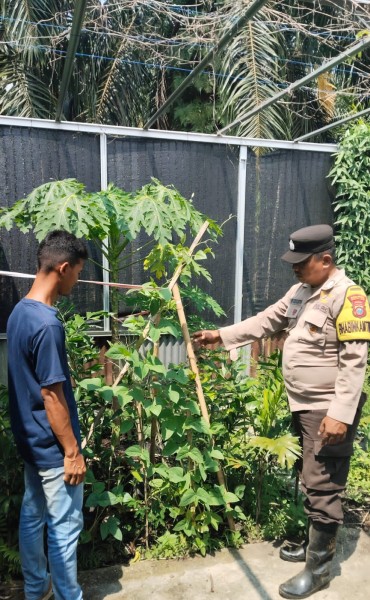 Dorong Kemandirian Warga, Personel Polsek Enok Dampingi Warga Binaan Pantau Tanaman pekarangan