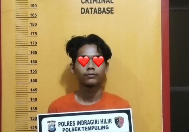 Pelaku Curanmor di Tempuling Preteli Motor Korbannya