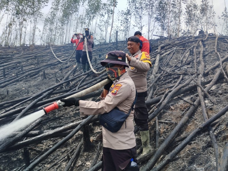 Lima Hektare Kawasan TNTN Pelalawan Terbakar, Polisi Buru Pelaku
