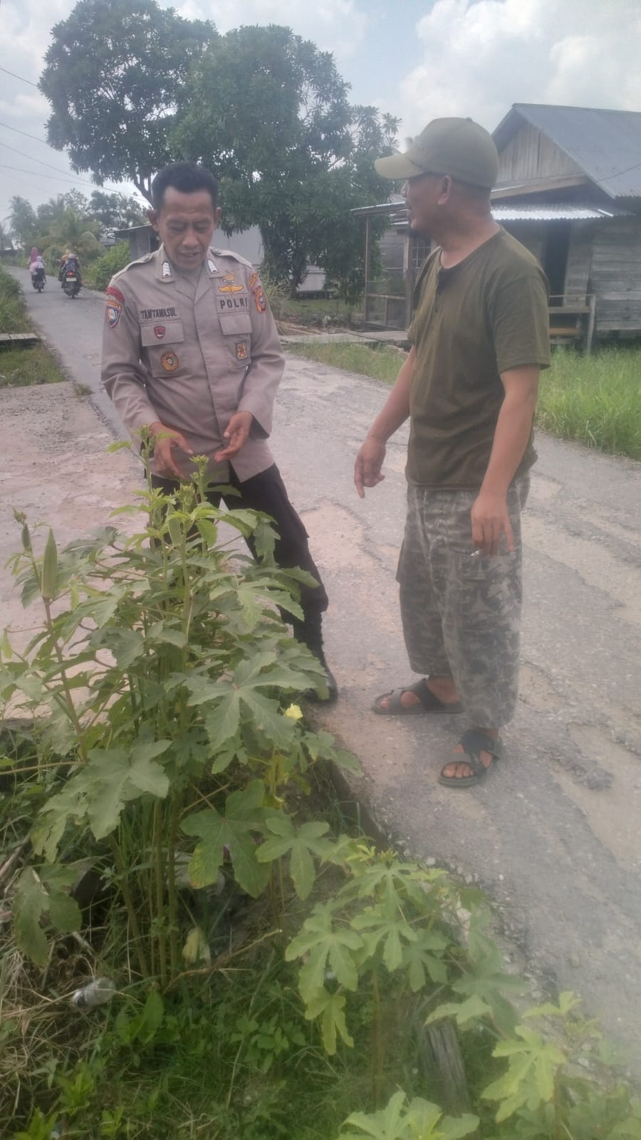 Lahan Perkarangan Sulap Jadi Lumbung Pangan, Polisi Enok Pantau Langsung