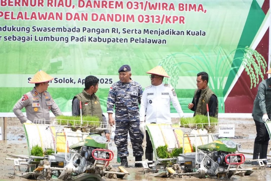 Bupati Pelalawan Dapat Apresiasi, Panen Padi Kuala Kampar Meningkat, Sumbang 13,76 Persen Produksi Riau