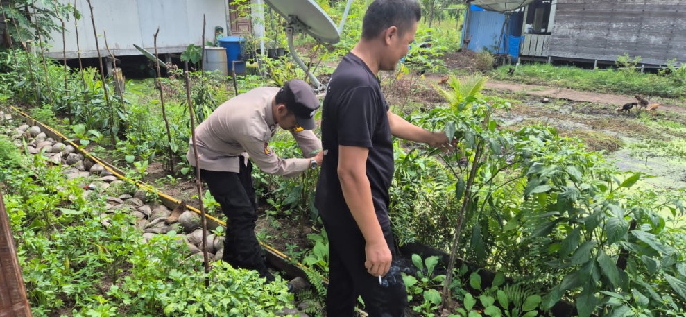 Babinkamtibmas Polsek Pelangiran Melaksanakan Pengecekan Langsung ke Kebun Sayuran Milik warga