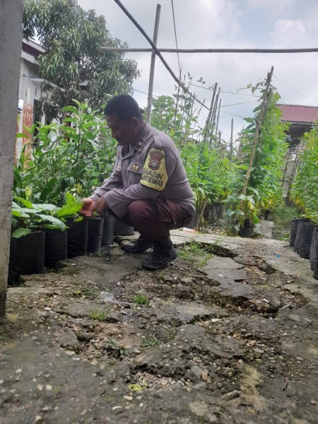 Dukung Swasembada Pangan, Kapolsek Keritang Lewat Bhabinkamtibmas Sambangi Petani Sayur di Pengalihan