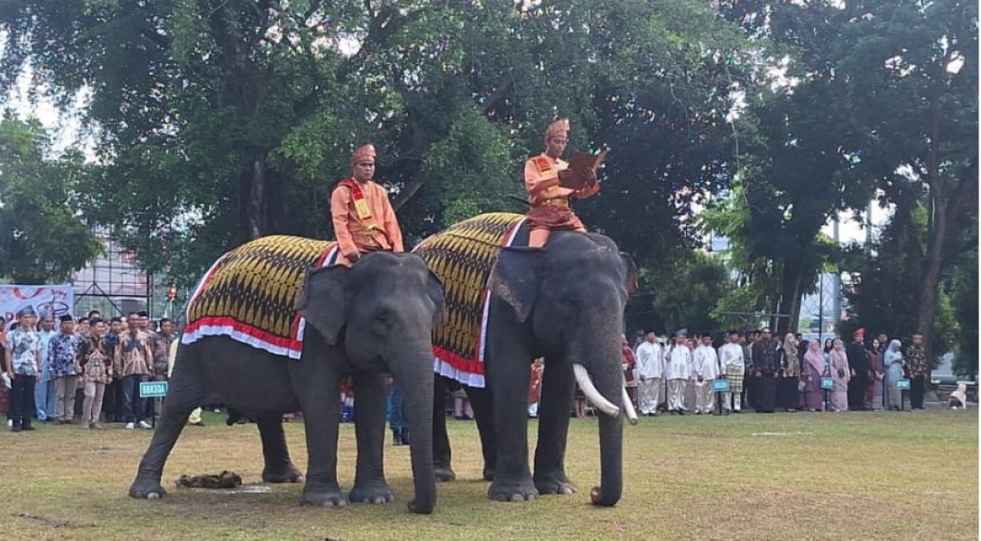 BBKSDA Riau Tampilkan Gajah Vera dan Jopi Bikin Kagum di HUT RI ke-80