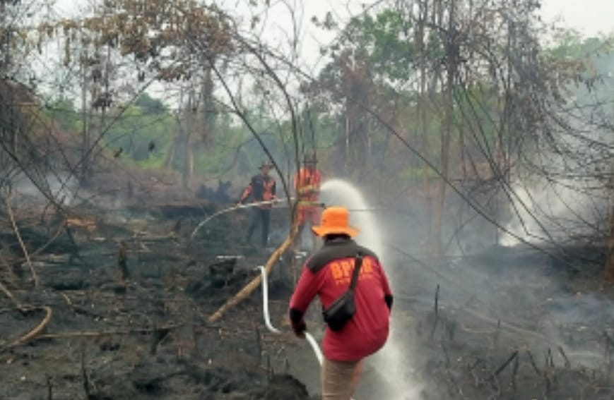 Hujan Bantu Atasi Karhutla di Rohil, Petugas Fokus Pendinginan