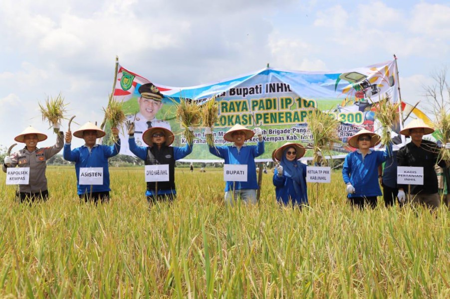Panen Raya IP 300, Bupati Indragiri Hilir Optimis Pertanian Kempas Terus Melaju