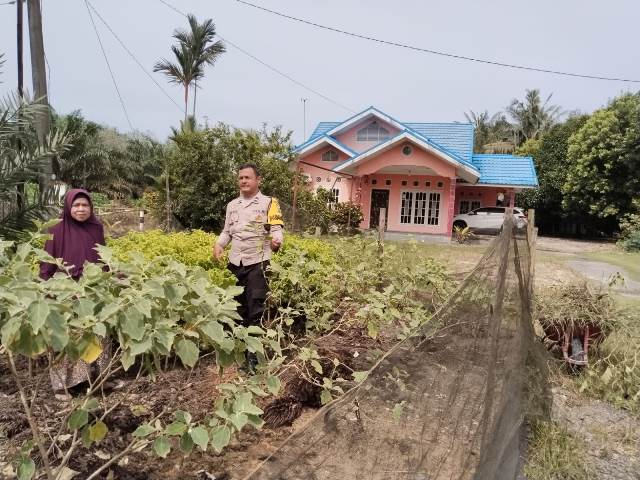 Bhabinkamtibmas Desa Muda Setia Sambangi Kebun Pekarangan Bergizi Mandiri