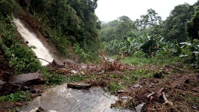 Longsor Memutus Akses Jalan Provinsi Borong ke Bajawa, Transportasi Lumpuh Total di Flores