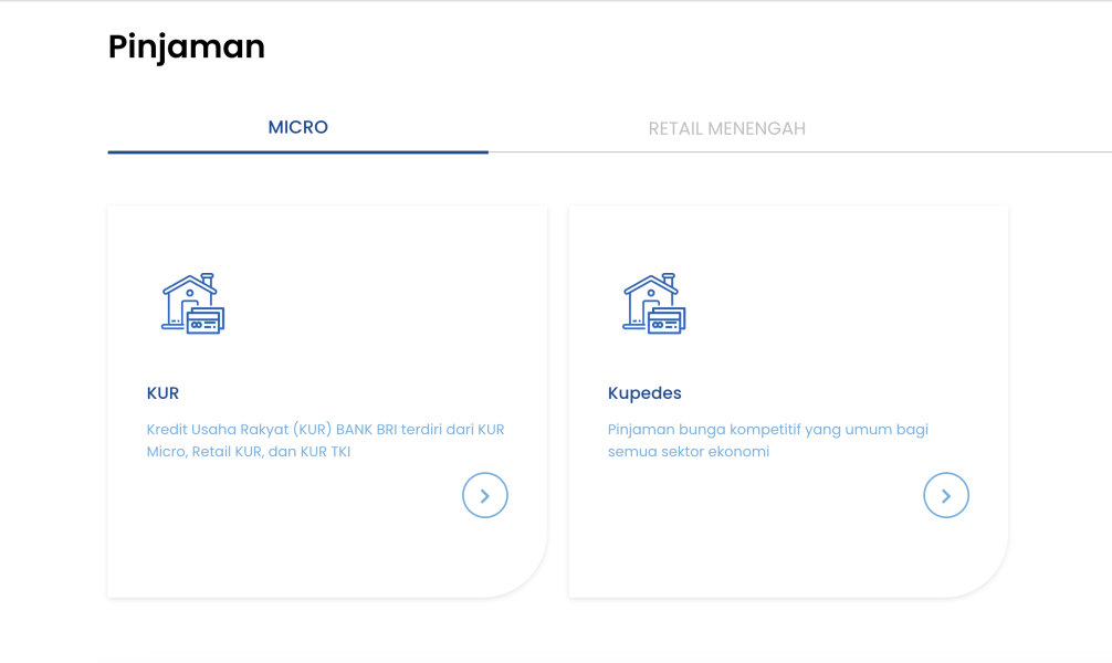 Daftar 17 Jenis Pinjaman Bank BRI 2025 dan Syaratnya