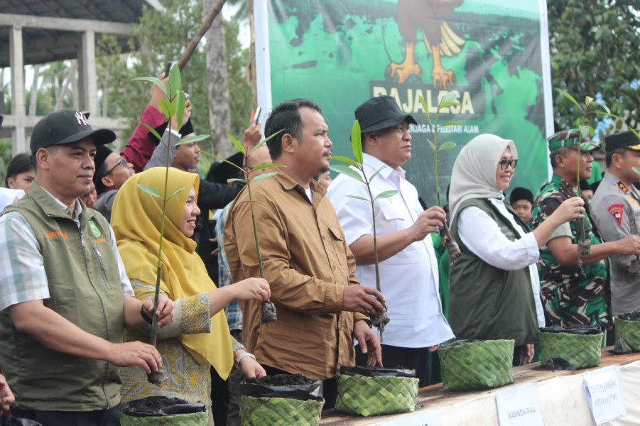 BDPN Inhil Gelar Peringatan Hari Mangrove Sedunia 2025: Dari Desa Belaras Barat untuk Dunia