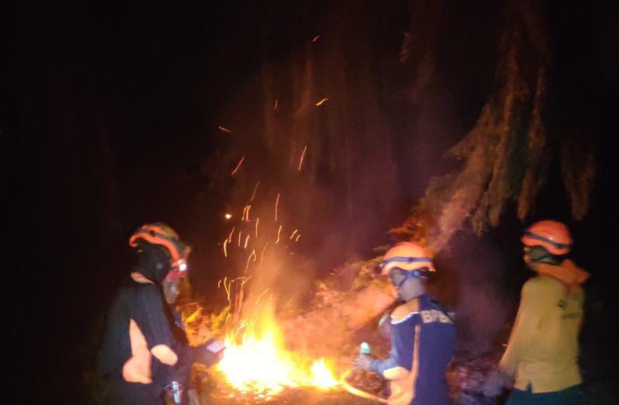 BPBD Inhil Terjunkan Tim Padamkan Kebakaran Lahan di Desa Bayas Jaya