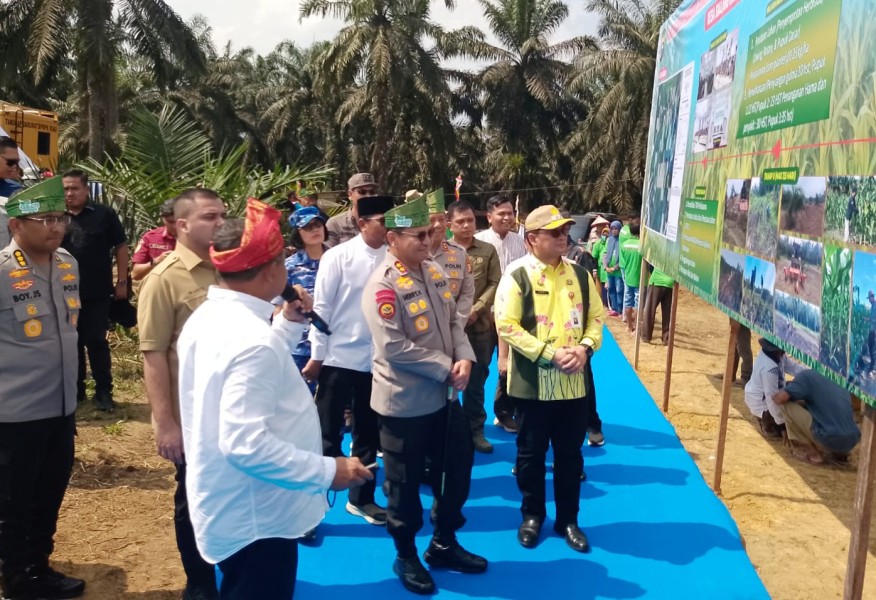Dukung Ketahanan Pangan, Bupati Pelalawan Dampingi Kapolda Riau Tanam Jagung Serentak