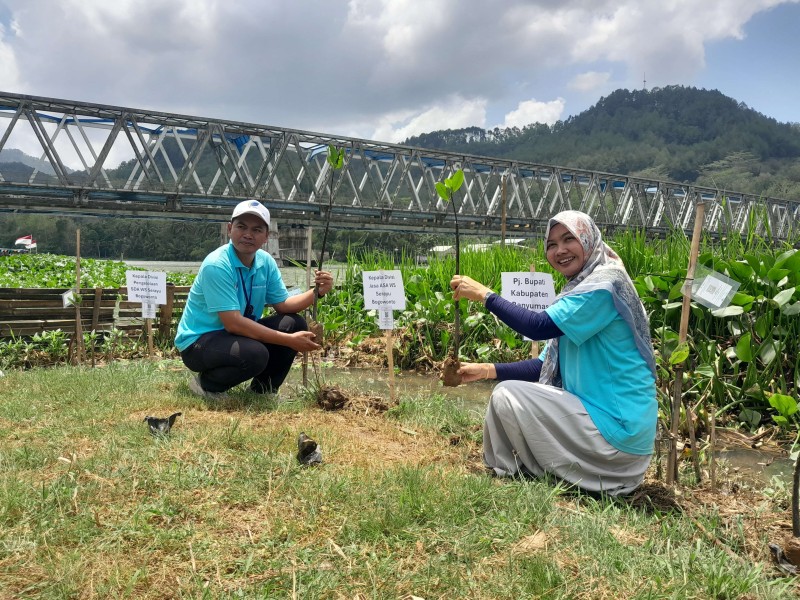 Perum Jasa Tirta I, Tebar Ratusan Ribu Ikan di Serayu